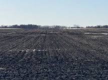 AMO22-East-Side-Looking-West