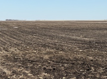 AMO22-Northwest-Side-Looking-East