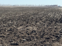 AMO22-Northwest-Side-Looking-South
