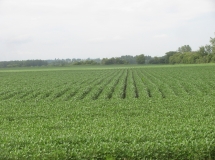 SE-looking-North-1