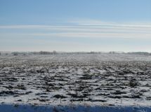 Ground view-Northeast-2